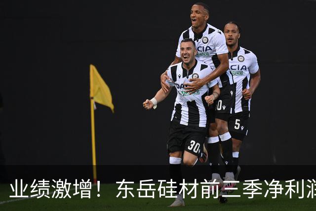 业绩激增！东岳硅材前三季净利润大幅预增超190倍